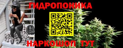 стаф Краснознаменск