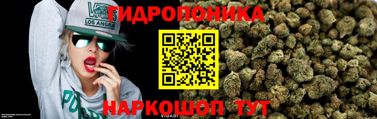 Бошки марихуана индика  МАРИХУАНА конопля  Вход с VPN  Камышин  Каннабис White Widow  Конопля планчик 
